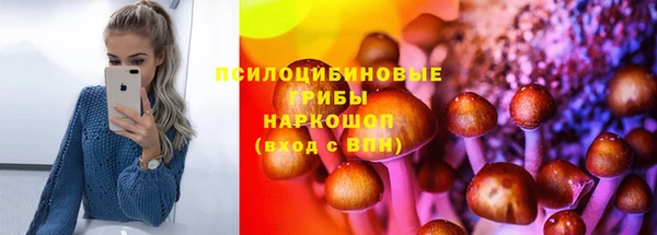 амф Балахна