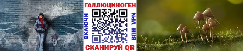 наркотики Новомичуринск Псилоцибиновые грибы мицелий